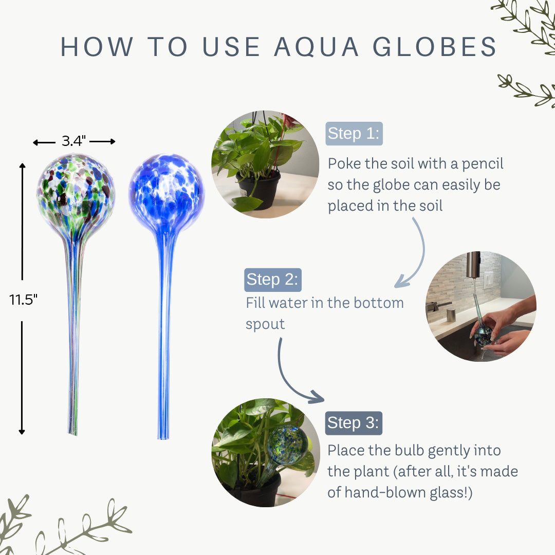 Indoor, Outdoor Self Watering Plant 11.5" Aqua Globes
