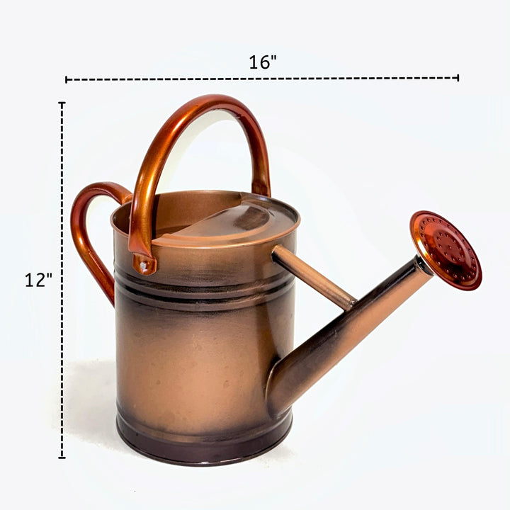 Lexi Home 3-Liter Painted Metal Watering Cans