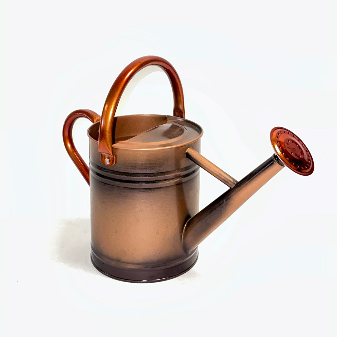 Lexi Home 3-Liter Painted Metal Watering Cans